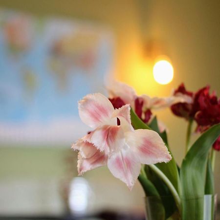 Westervoort Bed And Breakfast De Grote Byvanck المظهر الخارجي الصورة